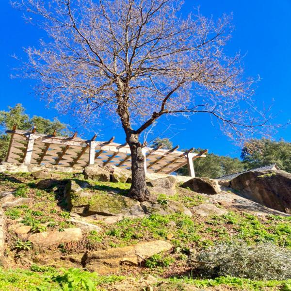 Paiva Valley Alvarenga Exterior photo